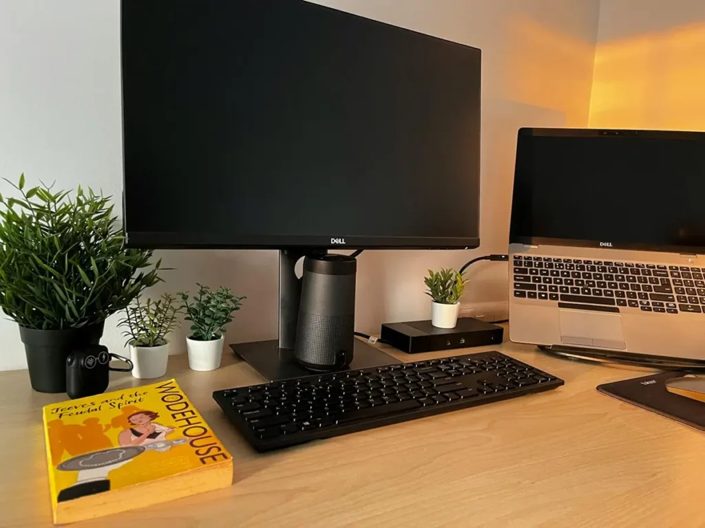Dell Monitor
